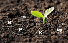 57e39e2d1ca4febbb2aeeb1b9b969532.jpg 57e39e2d1ca4febbb2aeeb1b9b969532.jpg