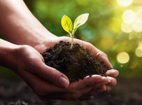 7f29e6efe8db7e503b6125309dc58488.jpg 7f29e6efe8db7e503b6125309dc58488.jpg