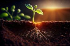 a53a6f41b76831d8c21fad3f757035e3.jpg a53a6f41b76831d8c21fad3f757035e3.jpg