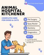 animal hospital kitchner.jpg