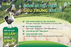 tha-vuon-sieu-trung-uy-tin-chat-luong_ec01948c89f042968deda16bd8a5e96e.jpg