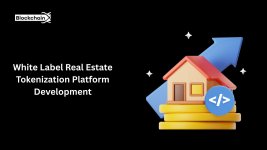 BlockchainX(WRT ).jpg