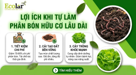 unnamed__2_-photoroom_e6847767d1e14168bf267898af3c2711.png unnamed__2_-photoroom_e6847767d1e14168bf267898af3c2711.png