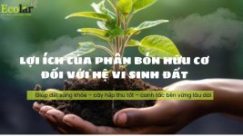 gen-h-z7648503188404_246de54f6ba32cdf61bef4969b0ccb82.jpg gen-h-z7648503188404_246de54f6ba32cdf61bef4969b0ccb82.jpg