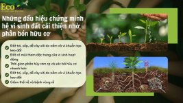 gen-h-z7648503083644_51f7124cbbe496338afa74c2e2aabc2d.jpg gen-h-z7648503083644_51f7124cbbe496338afa74c2e2aabc2d.jpg