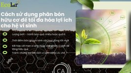 gen-h-z7648503035795_29f5efc9464c408c1b2bfbe47ce19fae.jpg gen-h-z7648503035795_29f5efc9464c408c1b2bfbe47ce19fae.jpg