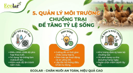 thiet_ke_chua_co_ten__2___1__8ced8f3ad2304233852a8321ab7659ee.png