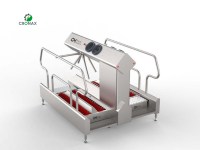 Untitled design (12).png