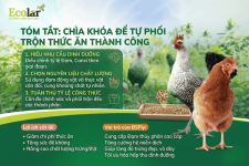 _generated_image_hfo7nghfo7nghfo7__1__7b7e23094d9a469288a80107b6e5c4e1_grande.png _generated_image_hfo7nghfo7nghfo7__1__7b7e23094d9a469288a80107b6e5c4e1_grande.png