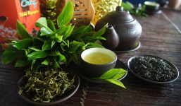 1774679707273.png 1774679707273.png