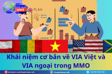 Khai-niem-co-ban-ve-VIA-Viet-va-VIA-ngoai-trong-MMO.png