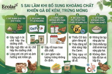 5-sai-lam-khi-bo-sung-khoang-chat_6ea23839b7e04055a7fcc6c886b7dbf5.png