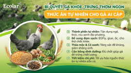 bi-quyet-ga-khoe-trung-thom-ngon_ff607752bbe64480aeeca8408ce48e2c.png