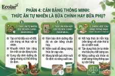 _an_tu_nhien_la_bua_chinh_hay_bua_phu_d894939f0295426495db63b791305f45.png _an_tu_nhien_la_bua_chinh_hay_bua_phu_d894939f0295426495db63b791305f45.png