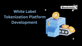 BlockchainX (WLT).png BlockchainX (WLT).png