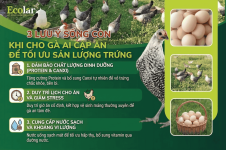 o-ga-ai-cap-an-toi-uu-san-luong-trung_1bbfa772a3d84e8e848d4f47e5280a4f.png o-ga-ai-cap-an-toi-uu-san-luong-trung_1bbfa772a3d84e8e848d4f47e5280a4f.png