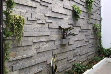 da ong xam ha noi.png da ong xam ha noi.png