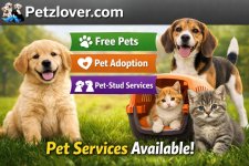 Petzlover services for every pet lover (1).jpg Petzlover services for every pet lover (1).jpg