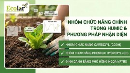 gen-h-z7720057210924_0d6aef5ddc96632faa6fec0f227f85a9.jpg gen-h-z7720057210924_0d6aef5ddc96632faa6fec0f227f85a9.jpg