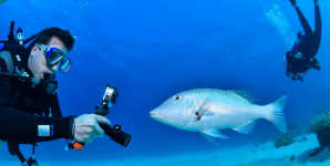 Screenshot 2026-03-31 143622.png