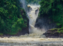 Screenshot 2026-03-25 111225.png