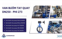 van-buom-tay-quay-dn250-1.jpg