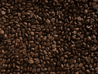 1777969894076.png