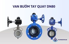 van-buom-tay-quay-dn80.jpg