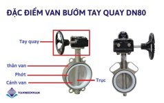 dac-diem-van-buom-tay-quay-dn80.jpg