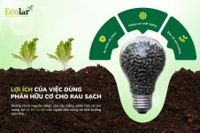 ua-viec-dung-phan-huu-co-cho-rau-sach_23296f4989ef4aa88121b5db495cc5b4.jpg