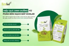 han-bon-huu-dong-chay-diu-lanh-ecolar_4c88dc5edda4496cb9e7dd479a5be0d2.jpg