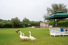 naugaon-farmhouse.jpg