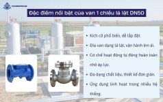 bao-gia-van-1-chieu-la-lat-dn50.jpg