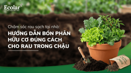 lieu-luong-bon-phan-huu-co-cho-rau-trong-chau-de-ap-dung-tai-nha.png