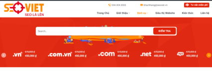 dich-vu-ten-mien-seoviet-768x271.png
