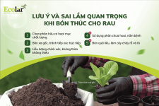 ai-lam-can-tranh-khi-bon-thuc-cho-rau_b3669bc7873a4f0db9c0059488b9f727.png ai-lam-can-tranh-khi-bon-thuc-cho-rau_b3669bc7873a4f0db9c0059488b9f727.png