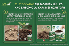 -cho-ban-cong-lai-khac-biet-hoan-toan_6eec0c59e8b3483b8bdc410b5038bee6 (1).png