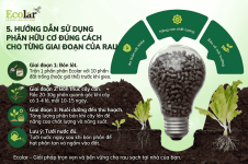 -dung-cach-cho-tung-giai-doan-cua-rau_fbedd8aae5854bed909780657b9bda73 (1).png -dung-cach-cho-tung-giai-doan-cua-rau_fbedd8aae5854bed909780657b9bda73 (1).png