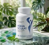 Aqua-sculpt.jpg