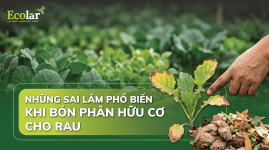 7-sai-lam-khi-bon-phan-huu-co-cho-rau-va-cach-khac-phuc_01188d0c44c44fb780d5563b92d47bab.png