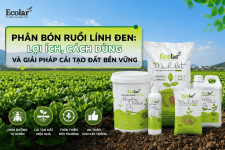 -bon-ruoi-linh-den-loi-ich-cach-dung-va-giai-phap-cai-tao-dat-ben-vung.png