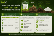 -ruoi-linh-den-voi-cac-loai-phan-khac_e15014219b8d426ea308c1420c4e5df7.png