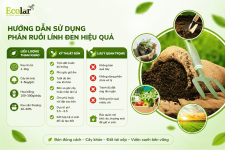 -dung-phan-bon-ruoi-linh-den-hieu-qua_09fc424630cf4fe4b23d925e2012ee1a.png
