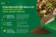 vang-den-cho-nen-nong-nghiep-hien-dai_5052fc8c961a4163b71841e9fdf30038.png