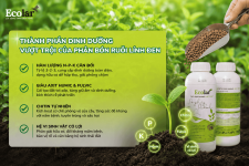 -vuot-troi-cua-phan-bon-ruoi-linh-den_94d4becbfb5742789e83f2606aef776e.png