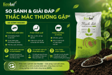 -sanh-va-giai-dap-thac-mac-thuong-gap_63abbbd9346e4051a21e5f963fc234d1 (1).png