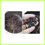 Bản sao của Nội dung đoạn văn bản của bạn (3).png