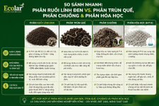 -trun-que-phan-chuong-va-phan-hoa-hoc_480adcf0e7d54a1bbe598bb143c5584c (1).png