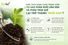 -phan-trun-que-lai-tro-thanh-ngoi-sao_8fdd848d17834928870bfb049913958c (1).png