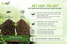 so-sanh-toan-dien-6-yeu-to-quyet-dinh_28ee69fb26b545029b4d7657e2c7e1cc (1).png
